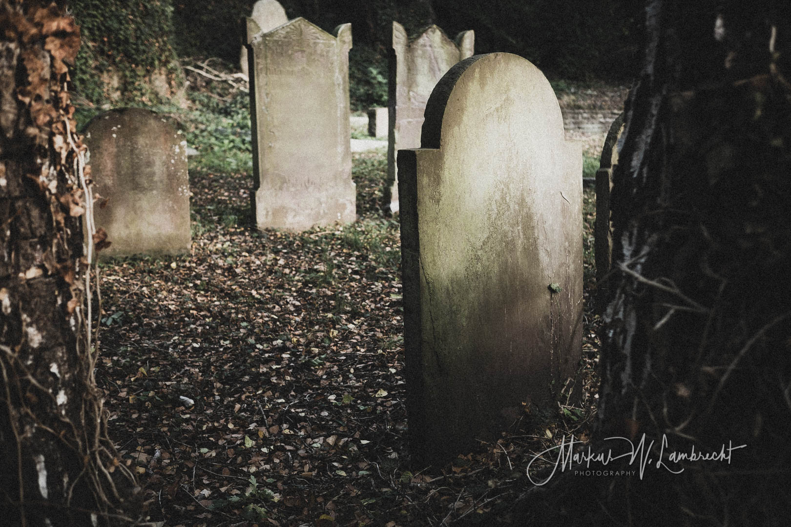 Lauenförde, Jüdischer Friedhof